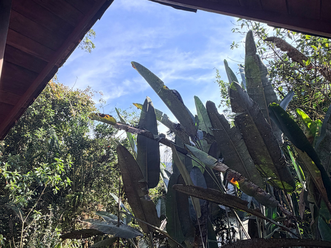 迪威那之家生态郊外小屋主图