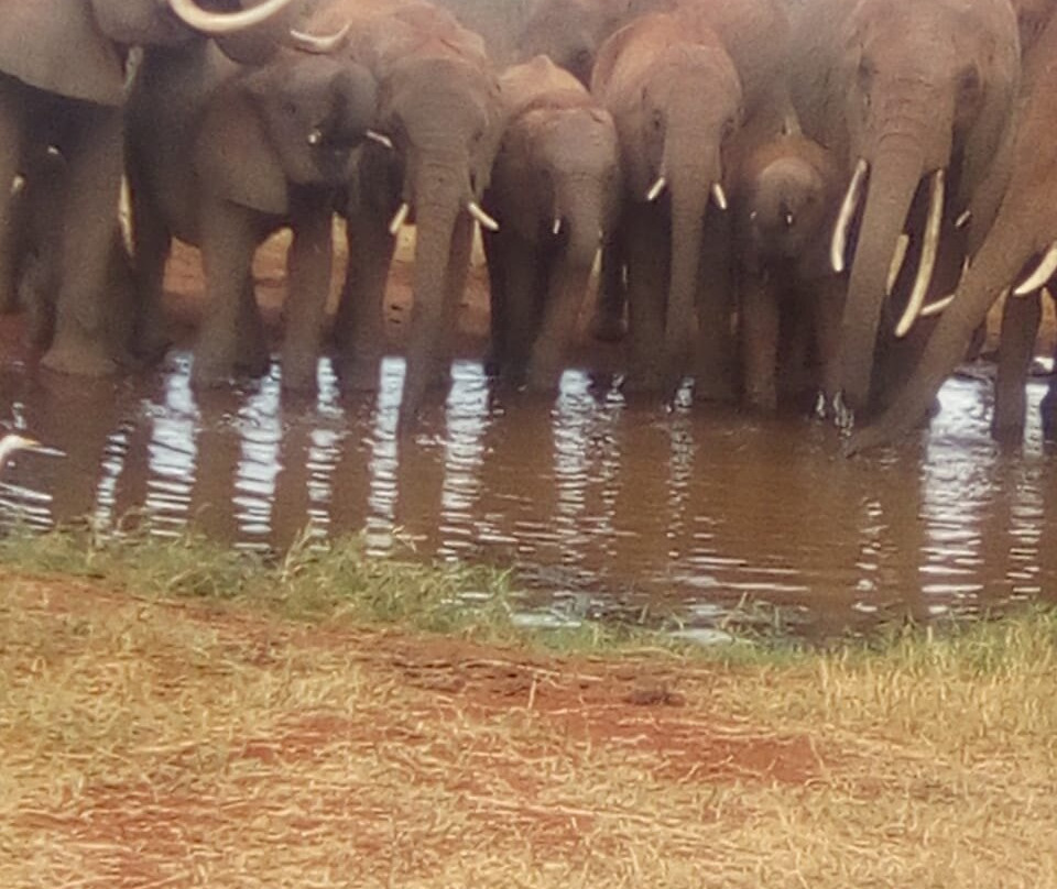 Top Africa Safaris-迪亚尼必去景点