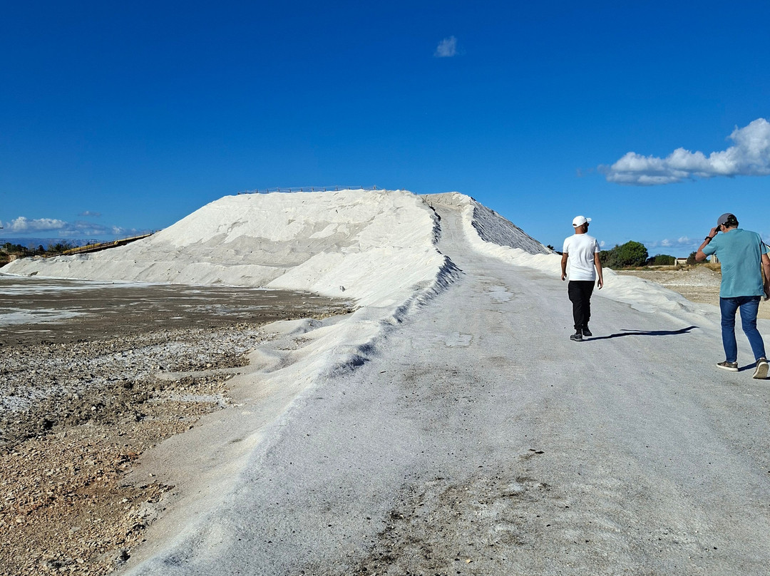 Riserva Naturale di Stato Saline di Margherita di Savoia-Margherita di Savoia必去景点