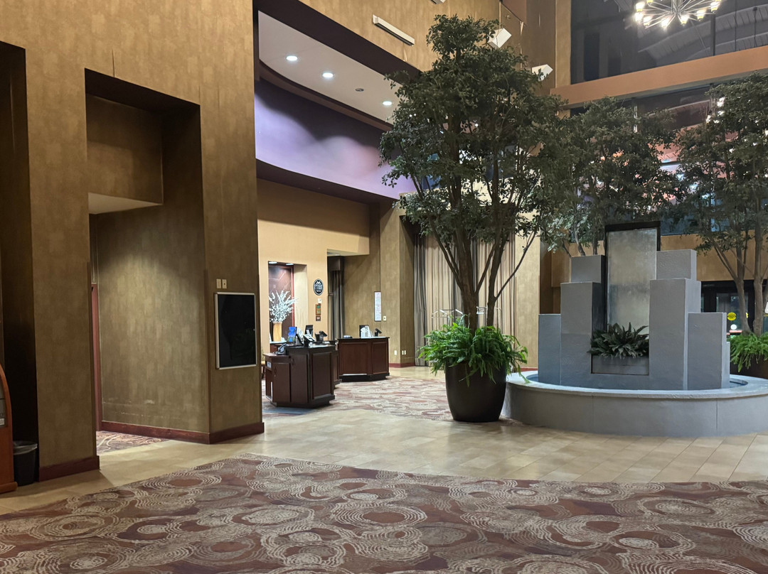 明尼阿波利斯北希尔顿安泊酒店主图