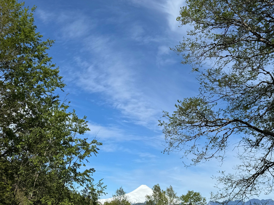 Santuario el Cañi-普孔必去景点