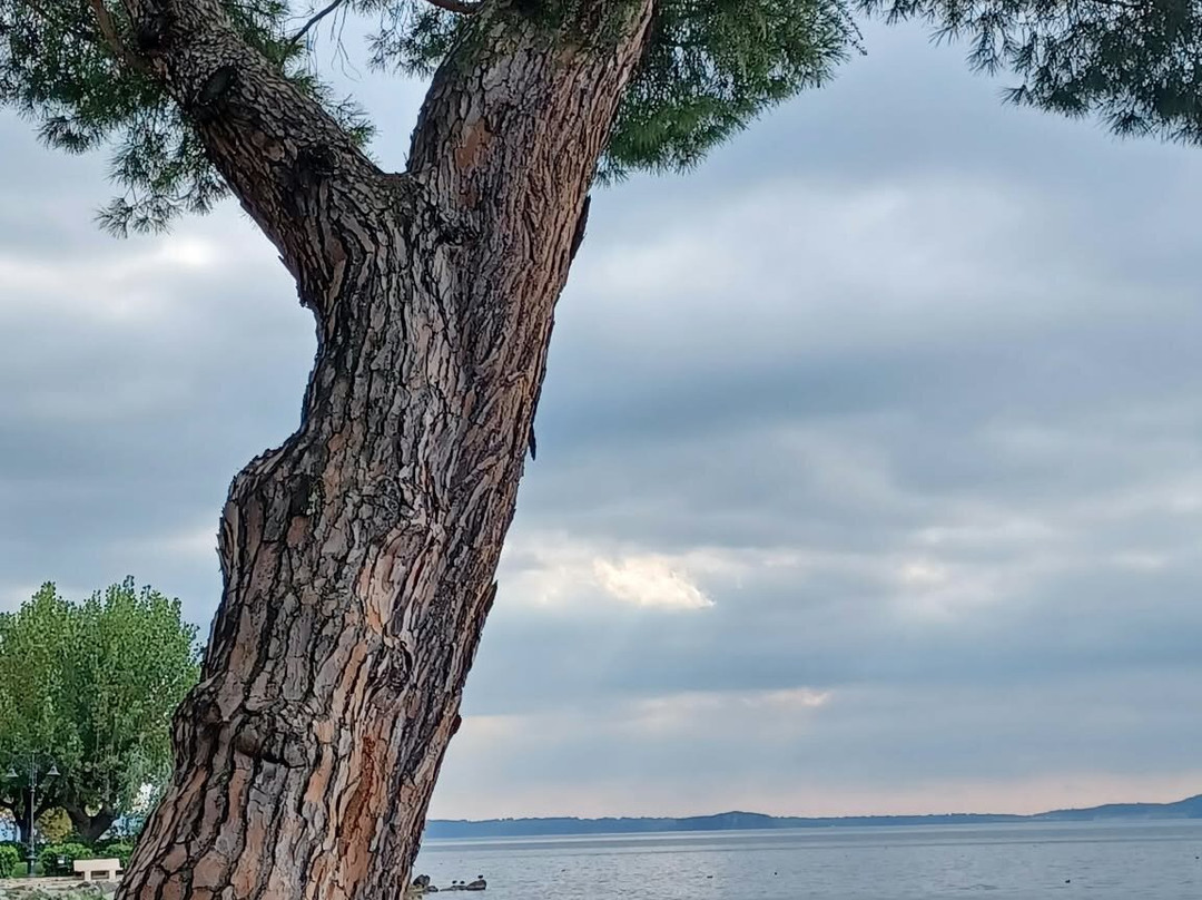Spiaggia Dei Salici-博尔塞纳必去景点
