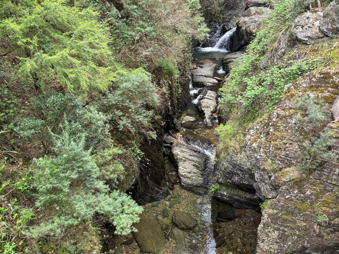 Walhalla Goldfields Railway-Walhalla必去景点