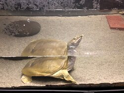Wakkanai City Noshappu Aquarium-稚内市必去景点