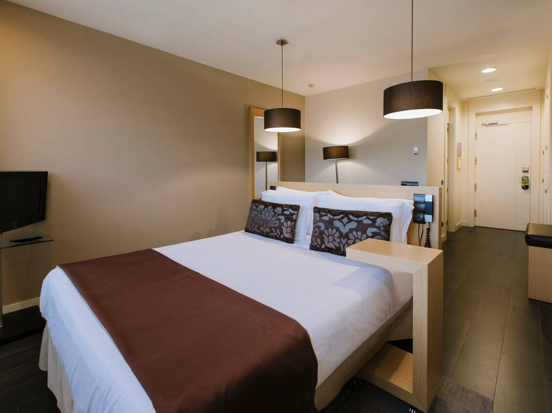 阿尔卡拉广场拉斐尔酒店