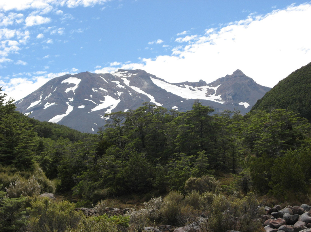 Rangataua旅游攻略图片