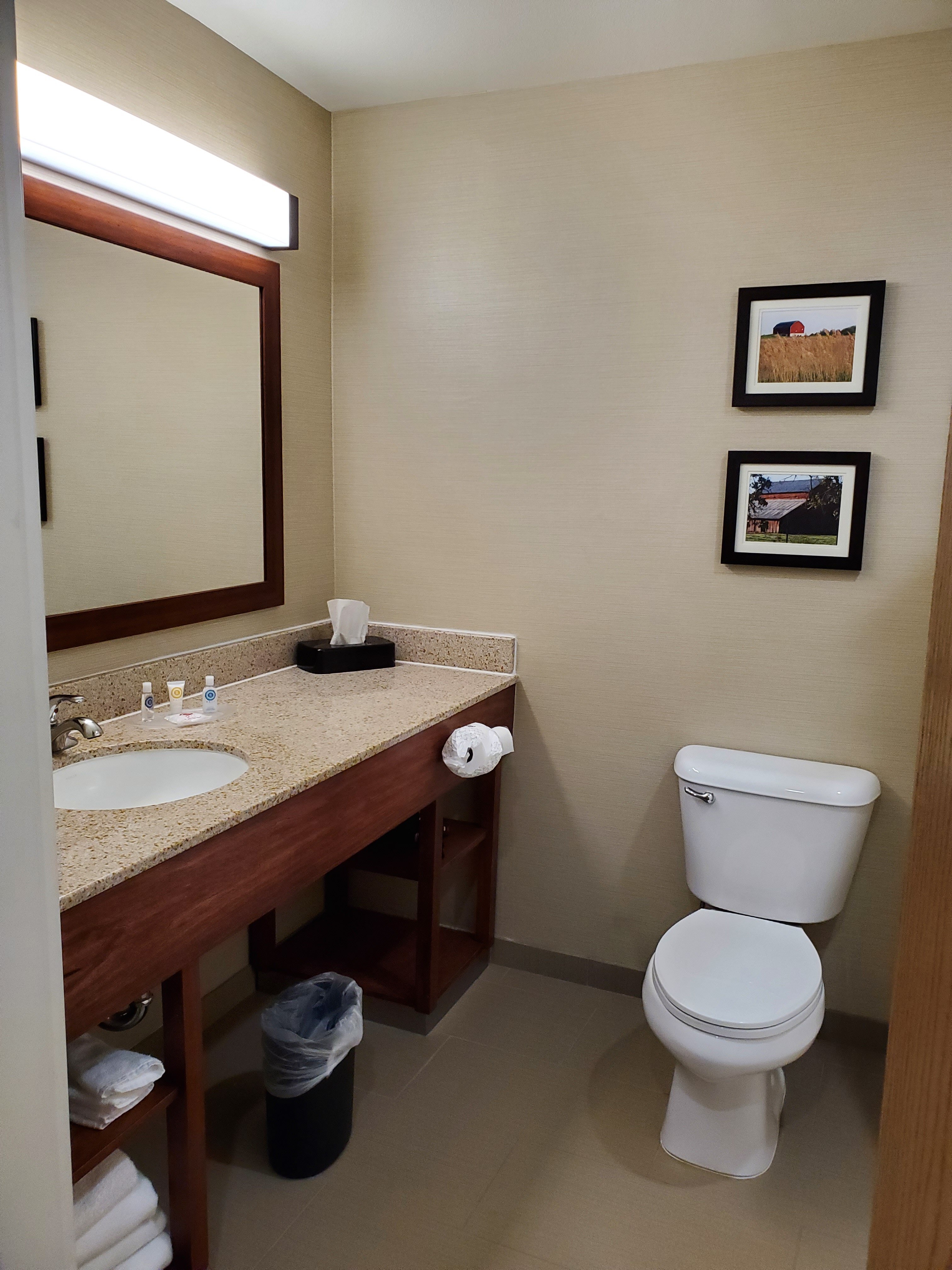 Comfort Suites Marysville-Yuba City-浴室