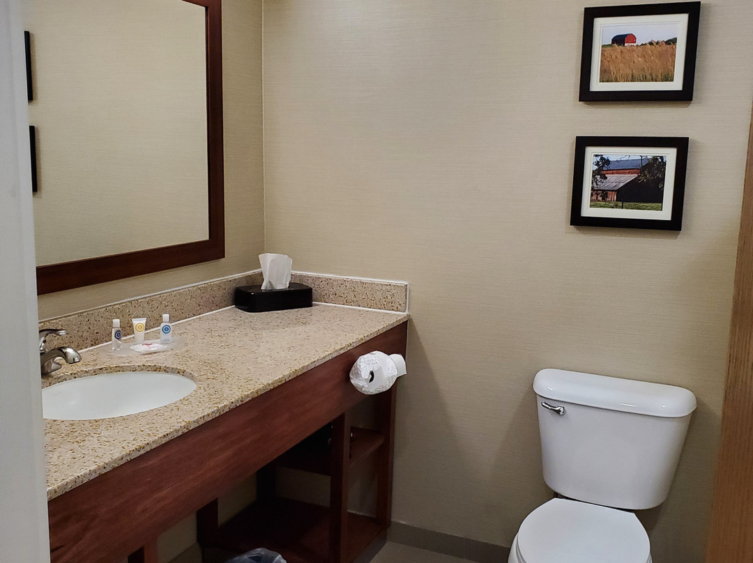 Comfort Suites Marysville-Yuba City主图