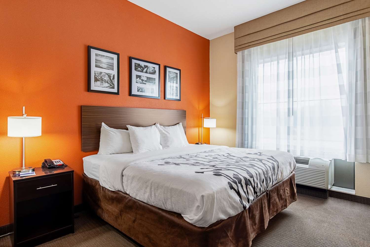 Sleep Inn & Suites Dyersburg I-155-官方