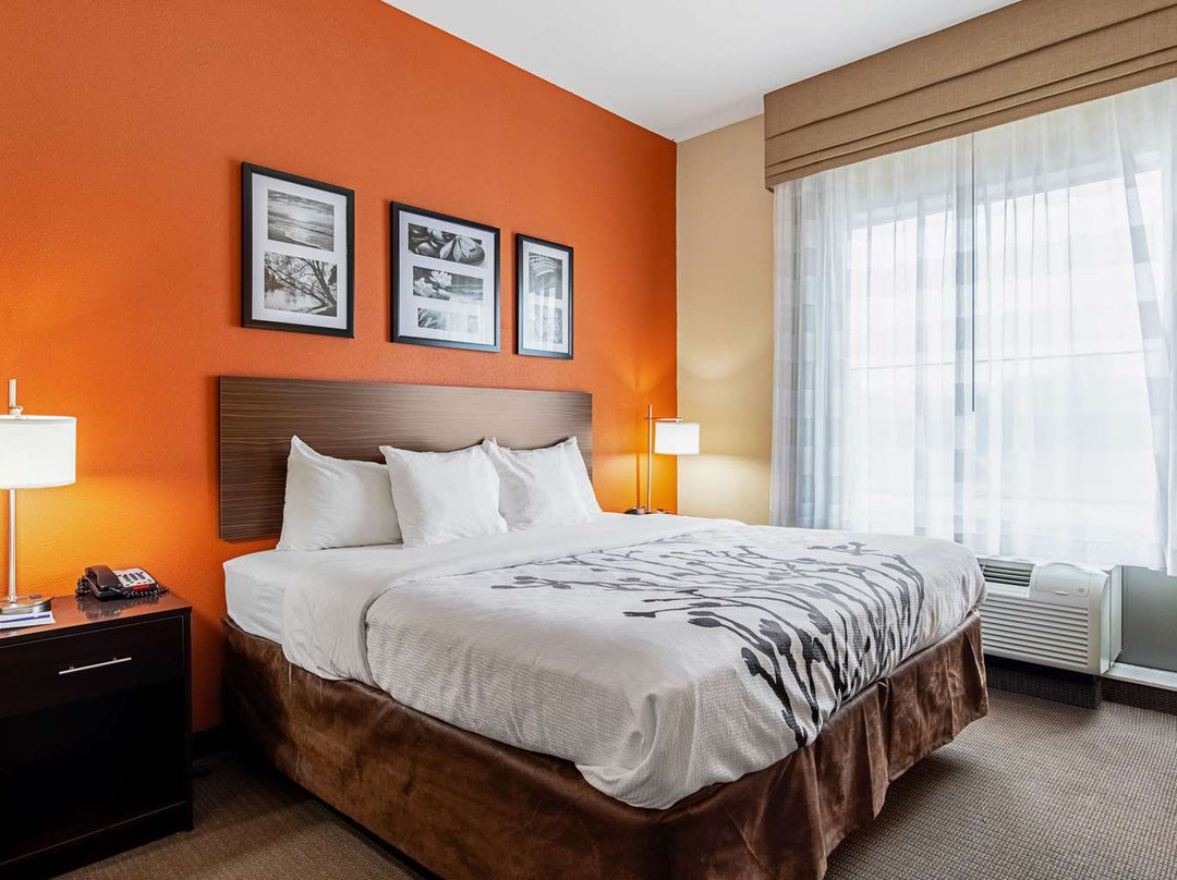 Sleep Inn & Suites Dyersburg I-155主图