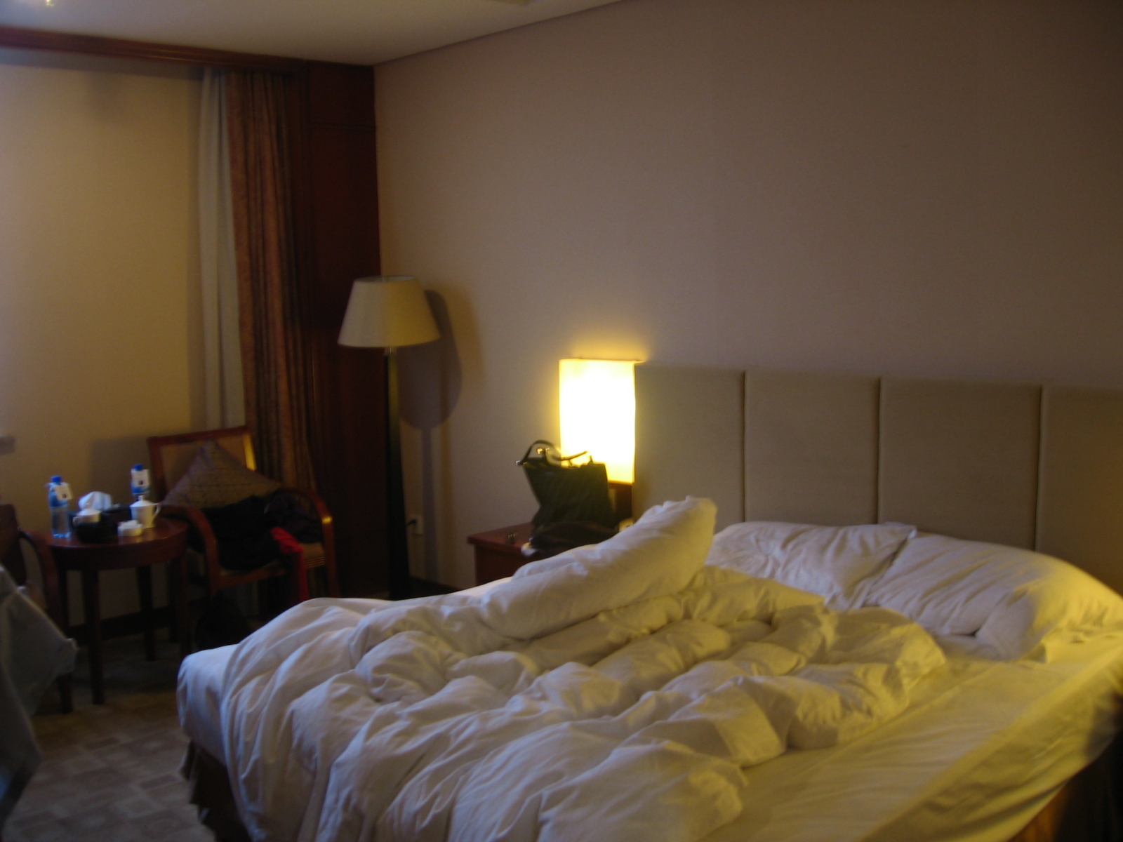 岳阳国贸大酒店-客卧