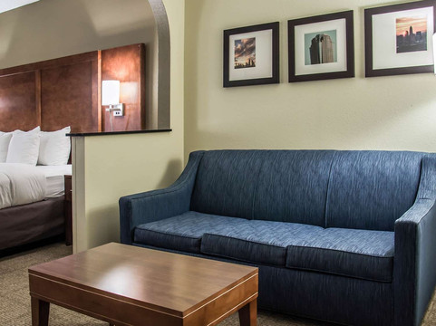 Newell酒店住宿-Comfort Suites University - Research Park