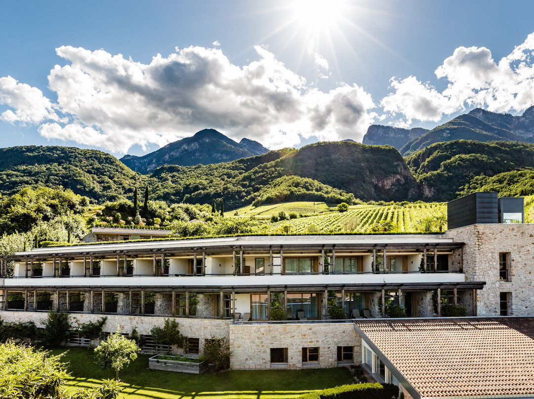 Caldaro sulla Strada del Vino旅游攻略图片