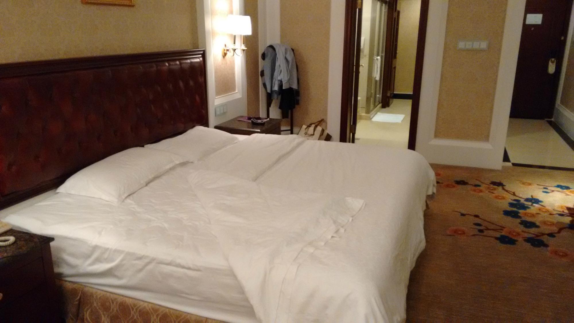 盘龙山庄大酒店-客卧