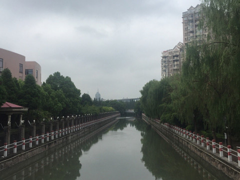 上海杨建华大酒店花木店主图