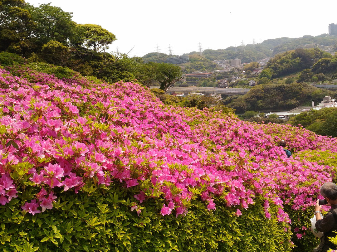 Ohtawa Tsutsuji no Oka景点图片