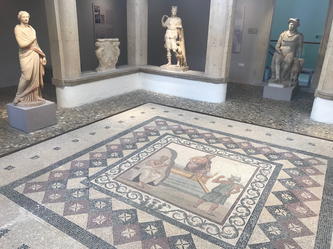 Archaeological Museum Kos景点图片