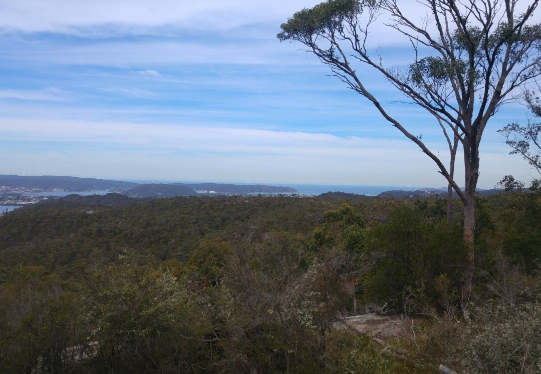 Koolewong旅游攻略图片