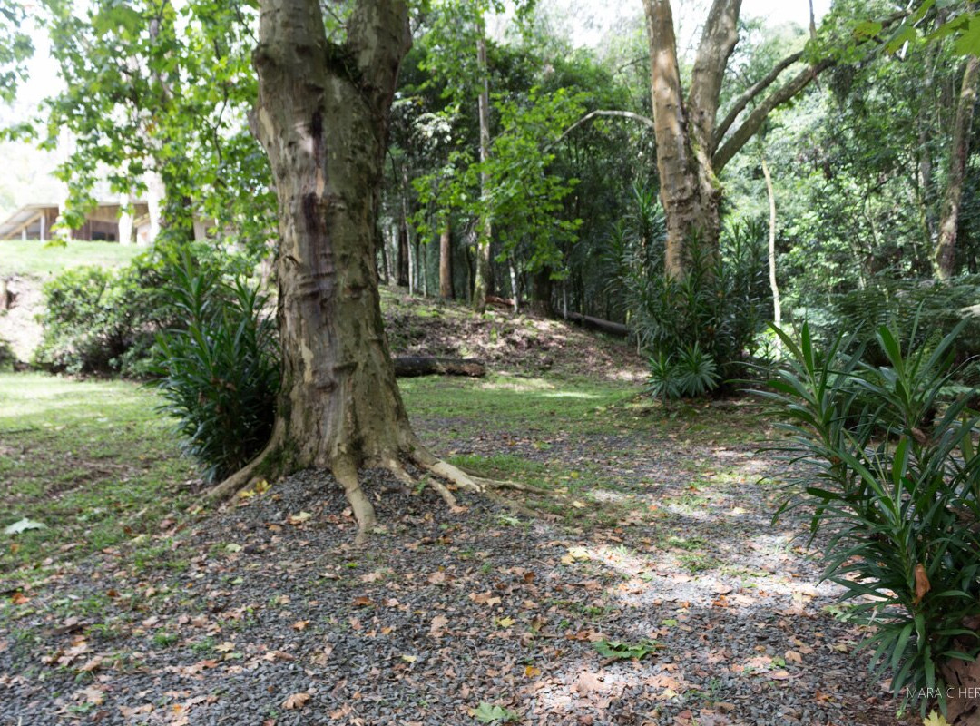 Gruta Nossa Senhora de Lourdes-Farroupilha必去景点