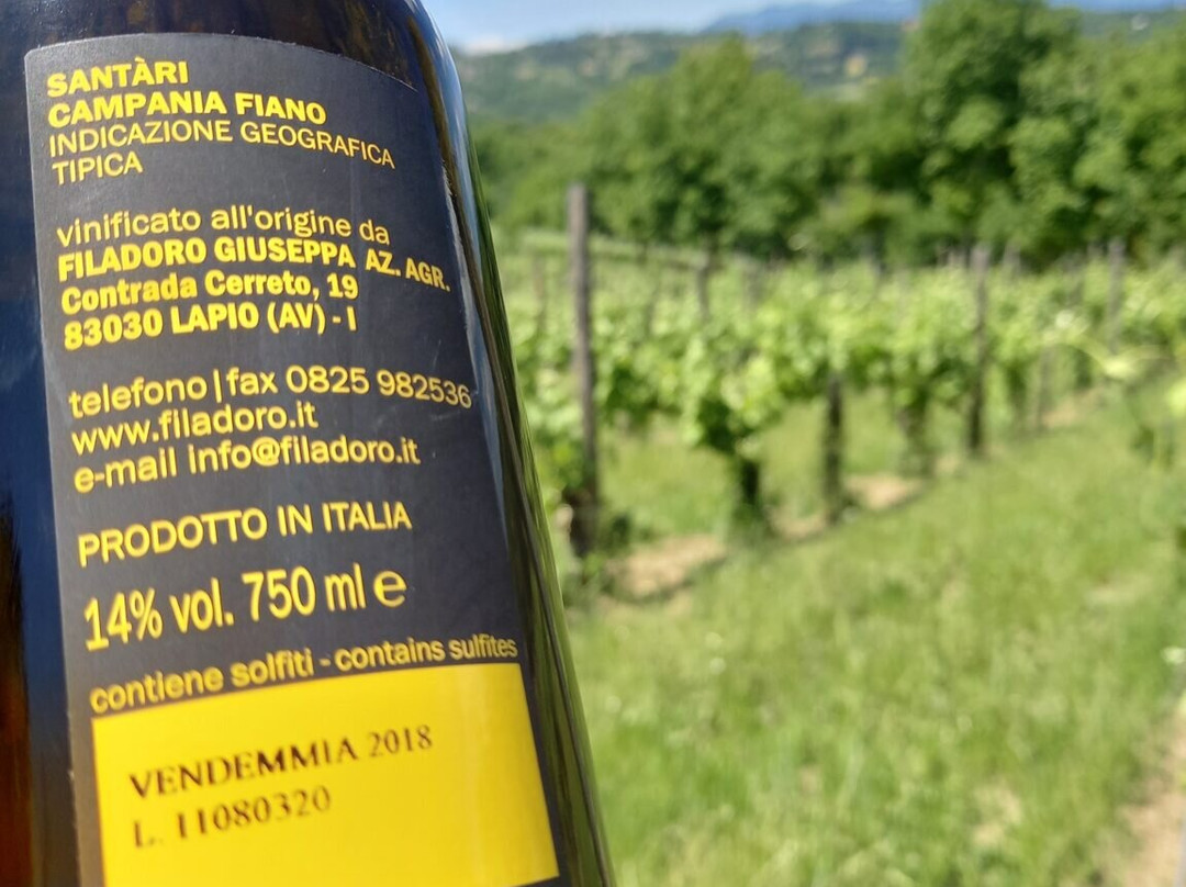 Azienda Agricola Filadoro-Lapio必去景点