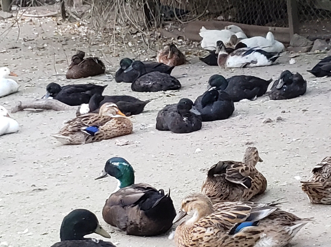 La India - Somos Naturaleza-Florida必去景点