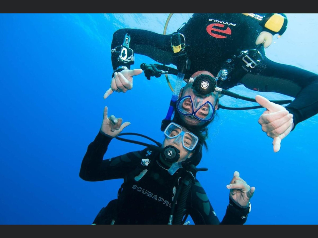 Gestione Mare Diving & Charter-锡拉库扎必去景点