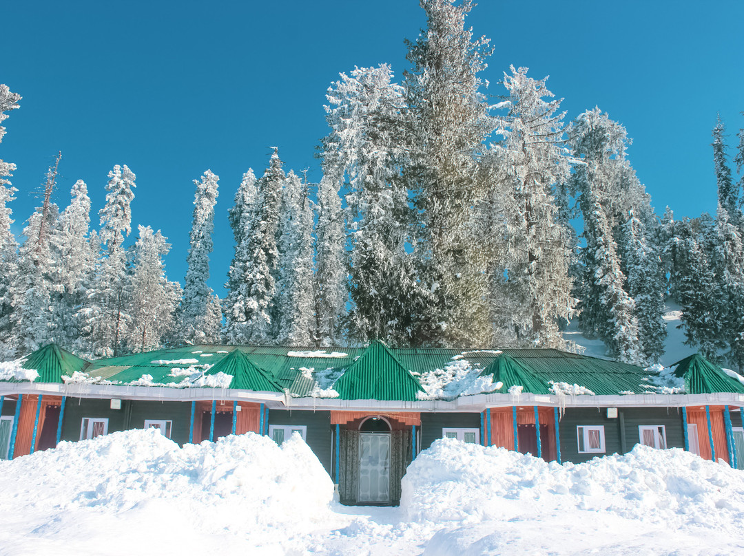 Pine View Resort主图