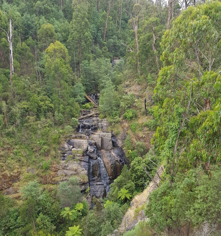 Mason Falls Picnic Ground-Kinglake必去景点