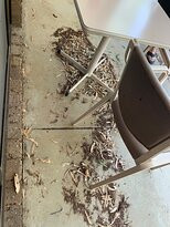 Meninya Palms Moama主图