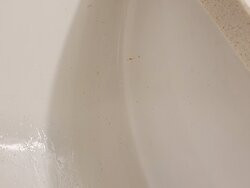 Holiday Inn & Suites Savannah Airport - Pooler By IHG主图