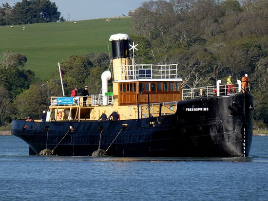 Steamship Freshspring Trust-比迪福德必去景点