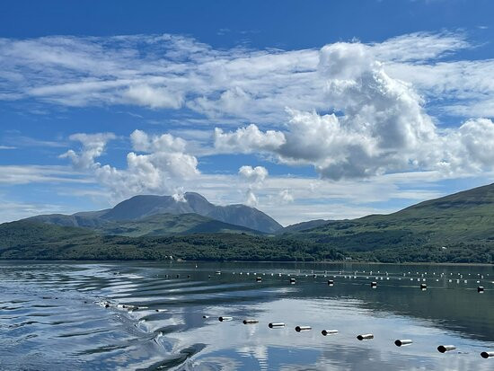 Cruise Loch Linnhe-威廉堡必去景点