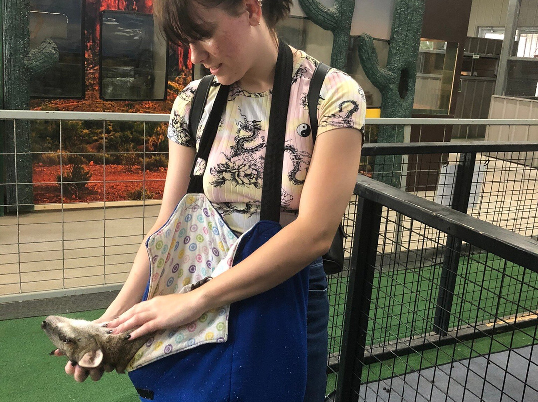 威尔斯特姆小屋