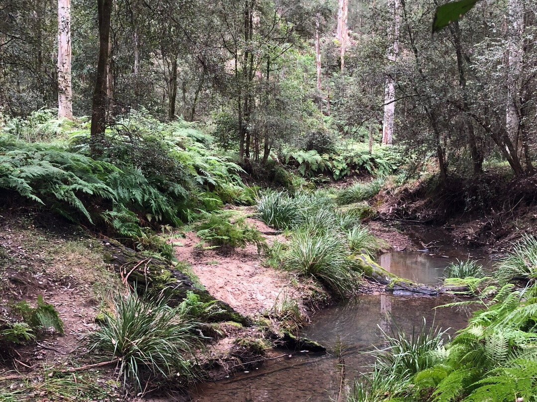 Sun Valley Fire Trail-Valley Heights必去景点