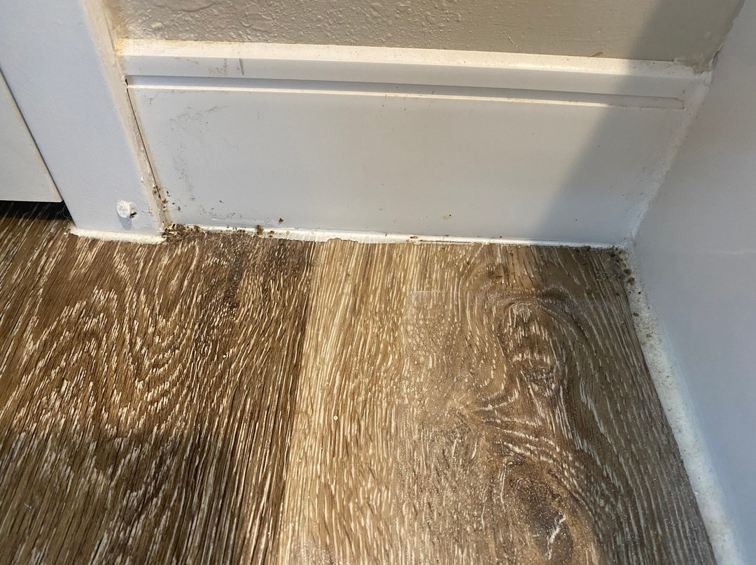 TownePlace Suites Mobile Saraland主图