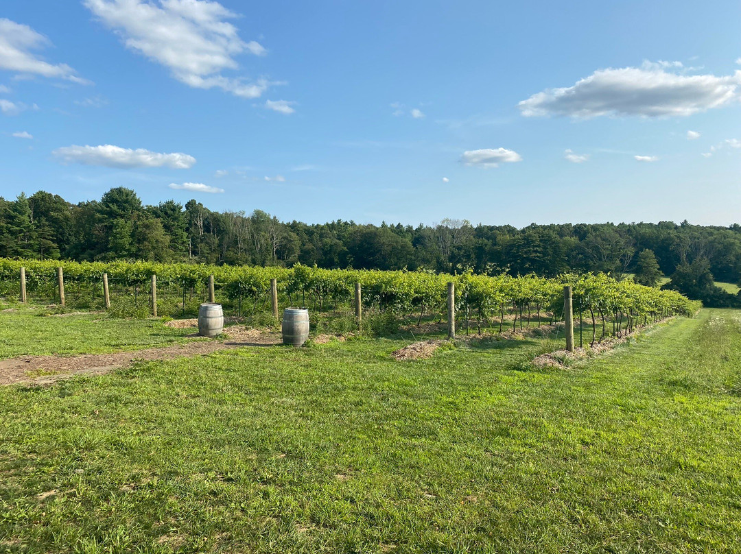 Pocono Wine Tour景点图片