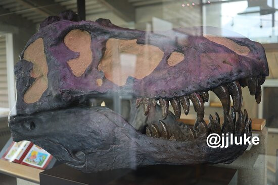 弗兰克斯莱德讲解中心-Frank必去景点