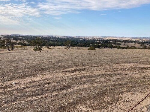 Eden Valley Scenic Lookout景点图片