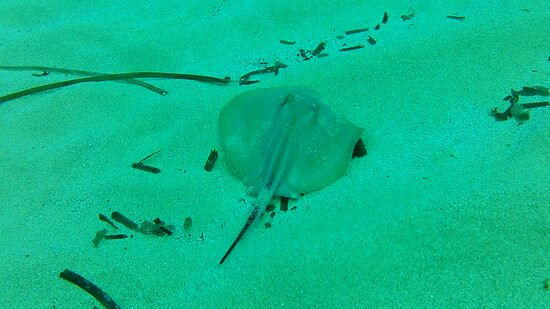 Diving Menorca-米诺卡必去景点