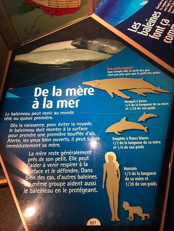 Marine Mammal Interpretation Centre景点图片
