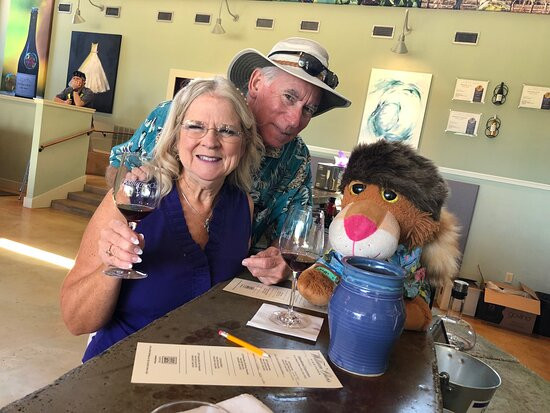 Texas Grapes Wine Tours-弗雷德里克斯堡必去景点