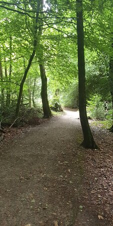 Drum Manor Forest Park景点图片