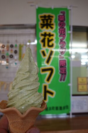 Michi-no-Eki Yokohama Nanohana Plaza景点图片
