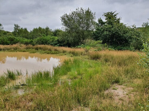 Wilder Kent Safaris: Wilder Blean-坎特伯雷必去景点