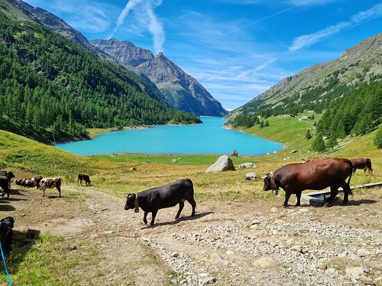 Lago di Place-Moulin景点图片