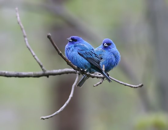 Tranquil Moments Bed & Breakfast主图