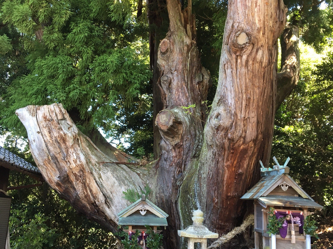 Yasaka Shrine-和束町必去景点