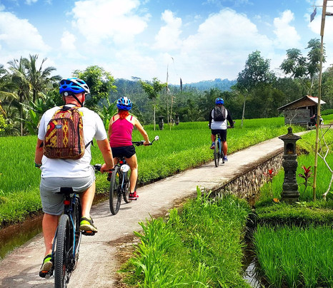 巴厘电动车之旅