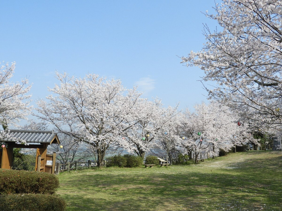 Shiroyama Park景点图片