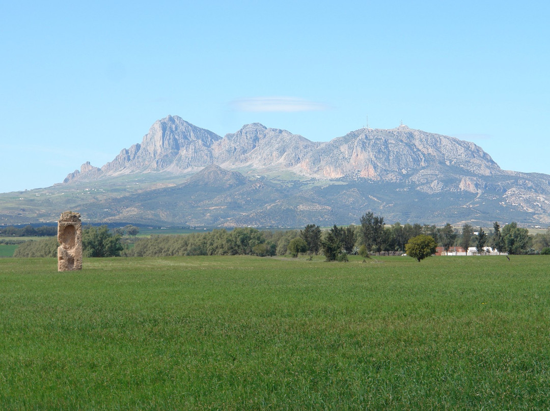 Thuburbo Majus-Zaghouan Governorate必去景点
